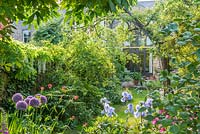 View of long, narrow, town garden in spring with informal lawn and mixed borders. Iris 'Jane Phillips', Allium 'Globemaster', Wisteria floribunda 'Alba', Centranthus ruber.