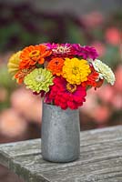 Zinnias mixed. Cut flowers in metal vase