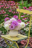 Dahlias mixed. Cut flowers in cream pottery jug.