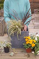 Planting Carex oshimensis 'Evergold' in the centre of the container