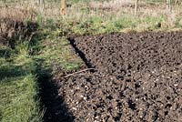 Winter digging almost completed on vegetable plot, trench and line