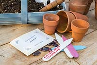 Runner Bean, Phaseolus coccineus, 'Streamline' potting bench with everything ready to sow seeds.