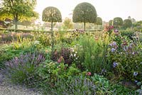 Summer borders in the Millennium Garden designed by Xa Tollemache are edged with Lavandula intermedia 'Grosso' and feature clipped holm oaks, Quercus ilex, Verbena bonariensis, sedums and cosmos. Castle Hill, Barnstaple, Devon, UK