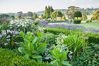 Box edged beds at the top of the double summer herbaceous borders designed by Xa Tollemache feature phlox, Verbena bonariensis, echinops, lilies, Nicotiana sylvestris and agapanthus. Castle Hill, Barnstaple, Devon, UK