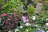 Seating area framed with roses and dense planting in 'Rosy Hues' at RHS Tatton Flower Show 2015