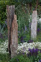 Salt tolerant plants representing the illusions of waves and driftwood  in 'Surf 'n' Turf' at RHS Tatton Flower Show 2015
