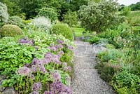 View from south facing terrace down steps to metal seat surrounded by Allium cristophii, Crambe cordifolia, philadelphus and self seeded Nigella damascena. Upper Tan House, Stansbatch, Herefordshire, UK