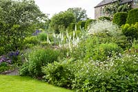Deep border below the south facing terrace planted with Anemone rivularis, hostas, ferns, white foxgloves and Crambe cordifolia. Upper Tan House, Stansbatch, Herefordshire, UK
