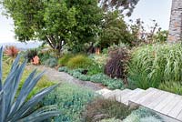 Wooden decking leading to gravel pathway between mixed beds containing ornamental grasses, succulents and large Agave. Debora Carl's garden, Encinitas, California, USA. August.