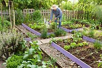 Man hoeing in the vegetable garden.