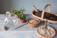 Materials needed are sand, fine gravel, compost, paint brush, terrarium with rope, Muehlenbeckia complexa and peperomia obtusifolia