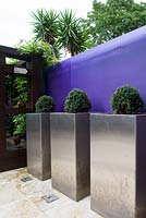 Purple perspex sheeting used as a garden boundary fence in front of which are three aluminium planters with box balls. 