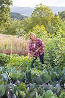 Katrin Schumann working her vegetable acre in the Bavarian Forest. Plants are broccoli, crrots, salads, sunflowers - Helianthus annus