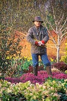 Portrait of Adrian Bloom in the Winter Garden at The Bressingham Gardens, Norfolk, UK, March 2007.