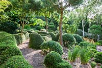 Shaped Lonicera nitida and Buxus sempervirens at Dip-on-the-Hill garden, Ousden,  Newmarket, Suffolk.