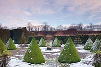 Topiary cones at Levens Hall and Garden, Cumbria, UK. 