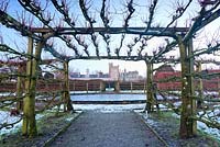 Espalier of trained fruit trees at Levens Hall and Garden, Cumbria, UK. 