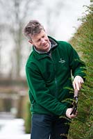 Portrait of Chris Crowder, Head Gardener at Levens Hall, Cumbria pruning yew. 