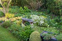 Bench in mixed border with Spiraea thunbergii, Epimedium and Adiantum venustum at Rod and Jane Leeds garden.