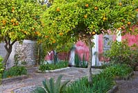 Upper terrace with pebblework mosaic, orange trees, irises and a rectangualr pool filled with papyrus, ancient sicilian and tunisian tiles. Casa Cuseni in Taormina, Sicily, Italy