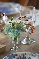 Sherry glass arrangement with all british grown stems - berried holly, ilex aquifolium, sprigs of rosehips and scilly isles scented tazetta narcissi. Common Flower Farm, Somerset