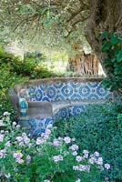 A morrocan influenced tiled seating in the arabic garden with olive tree, Pelargonium graveolens, and Convolvulus mauritanicus syn. c. sabatius