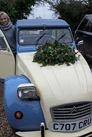 Christmas wreath making workshop. Lady with completed wreath on her vintage Citroen bonnet featuring Hedera - Ivy, red sprayed fir cones, dried apples, Pinus - Christmas tree twigs, red twigs and Cinnamon sticks. December, St Francis Cottage