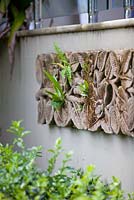 Carved Balinese stone wall panel with a frangipani motif mounted on a retaining terrace wall with moss and Asplenium australasicum, Birds Nest Fern seedlings growing on it.