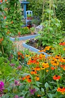 Summer garden of mixed vegetable and flower beds, foreground with Monarda 'On Parade' and Helenium 'Sahin's Early Flowerer' .