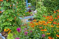Summer garden of mixed vegetable and flower beds, foreground with Monarda 'On Parade' and Helenium 'Sahin's Early Flowerer' .

