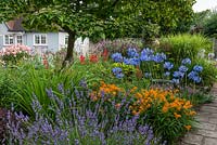 Mixed garden borders with Lavandula 'Sussex