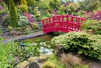 A bridge spans an ornamental pond in the Japanese Garden at Mount Pleasant Gardens, Kelsall, Cheshire in June. Plants include Carex, Rhododendrons, Azaleas and Acer palmatums