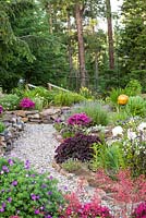 Summer border with Heuchera, Geranium and Dianthus 