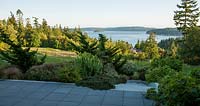 View across garden with planting including: Carex flagellifera 'Kiwi', Juniperus chinensis 'Torulosa', Lonicera pileata, Phygelius, Cotoneaster microphyllus var thymifolius and Hydrangea quercifolia 'Snow Queen' 