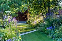 Dogs Trust - A Dog's Life Garden, view of lawn with zig-zag paved pathway, framed by naturalistic planting.  IncludingAgastache 'Blue Fortune', Angelica archangelica, yellow day lilies - Hemerocallis, Perovskia, Stip gigantea, campanulas, Verbena bonariensis, geraniums, and Alchemilla mollis  