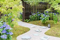 Japanese Summer Garden, View of gravel and rock pathway curving between moss borders with simple planting of Iris ensata and Hydrangea macrophylla 'Blaumeise'. Two Japanese maples - Acer palmatum give height and bamboo Phyllostachys bissetii is at the back next to an artificial bamboo screen. RHS Hampton Court Flower Show in 2016