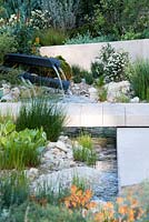 The Telegraph Garden, view of a water feature and limestone path over the stream with marginal plants including Juncus effusus. RHS Chelsea Flower Show 2016. Designer: Andy Sturgeon - Sponsor: The Telegraph