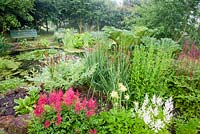 View of pond with wooden bench at far side. Foreground plants: Astilbe 'Montgomery', Primula florindae, Astilbe x arendsii 'Bumalda', Osmunda regalis, Gunnera manicata and Astilbe chinensis var. taquetii 'Purpurlanze'