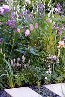 The LG Smart Garden, view of a flower bed with spring flowers: Persicaria bistorta 'Superba', Hesperis matronalis, Rosa 'Natasha Richardson', Digitalis purpurea f. albiflora, next to path made from limestone paving slabs and separated with black oval stones. RHS Chelsea Flower Show 2016. Designer: Hay Young Hwang, Sponsors: LG Electronics 