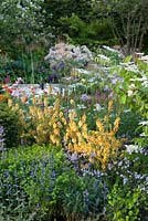 God's Own County - A Garden for Yorkshire - The planting in the bed includes orange Verbascum , Nepeta racemosa 'Walker's Low' and Euphorbia  'Redwing'. The RHS Chelsea Flower Show 2016, Designer: Matthew Wilson, Sponsor: Welcome to Yorkshire