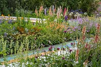 Herbaceous perennials including Allium 'Mount Everest', Cirsium rivulare 'Atropurpureum', Digitalis 'Alba', Geum rivale 'Totally Tangerine', Lupins, Nepeta x faasseri 'Crystal Cloud' and Verbascum ' 'Cotswold Beauty' in The Brewin Dolphin Garden, Forever Freefolk. The RHS Chelsea Flower Show 2016 - Designer: Rosy Hardy - Sponsor: Brewin Dolphin - SILVER GILT