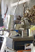 Inside a garden shed at an Australian wildflower farm, shows cutting and weighing machine