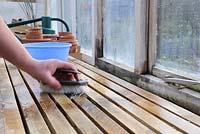 Scrubbing down the greenhouse staging in late winter