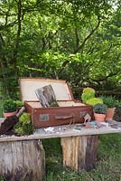 Materials required are a vintage suitcase, Moss, decorative pebbles, seashells, animal and structure figurines, tree bark, small Conifers and LED lighting
