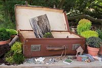 Materials required are a vintage suitcase, Moss, decorative pebbles, seashells, animal and structure figurines, tree bark, small Conifers and LED lighting