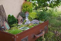 A miniature garden scene in a vintage suitcase made with Moss, decorative pebbles, seashells, animal and structure figurines, tree bark, small Conifers and LED lighting