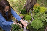 Miniature Wheelbarrow Garden. Young girl adding animal figurines to the miniature garden