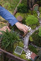 Miniature Wheelbarrow Garden. Young girl adding animal figurines to the miniature garden