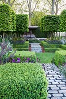 The Husqvarna Garden, view of bluestone cobbles steps and path in centre of formal garden leading to modern patio and surrounded by Buxus hedge topiary, a flowerbed with purple flowers: Lysimachia atropurpurea 'Beaujolais', Allium hollandicum 'Purple Sensation' and Carpinus pleached floating cubes. RHS Chelsea Flower Show 2016, Designer: Charlie Albone, Sponsors: Husqvarna