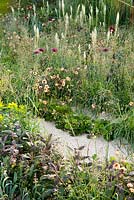 Reseda odorata, Geum 'Mai Tai', Briza media, Allium atropurpureum, Salvia officinalis 'Purpurascens', Euphorbia myrsinites. The Winton Beauty of Mathematics Garden. The RHS Chelsea Flower Show 2016, Designer: Nick Bailey, Sponsor: Winton